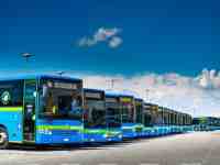 Assunzione immediata e patente gratuita per diventare conducente Autoguidovie